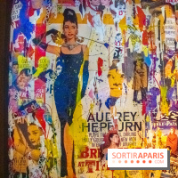 Exposition Anne Mondy à la brasserie Mon Paris !