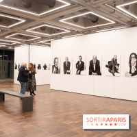 Stéphane de Bourgies, Quand le masque tombe