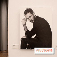 Stéphane de Bourgies, Quand le masque tombe