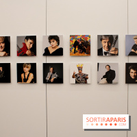 Stéphane de Bourgies, Quand le masque tombe