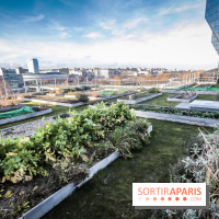 Le Cordon Bleu, cours de cuisine et nouveau café