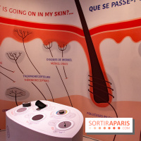 Dans ma peau au Musée de l'Homme : nos photos