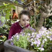 Le Jardin - La serre à papillons 
© Sophie Chivet / CSI