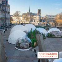 Journée Internationale des Forêts 2019