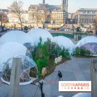 Journée Internationale des Forêts 2019