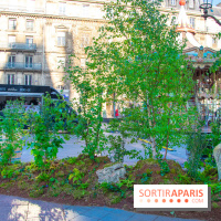 Journée Internationale des Forêts 2019