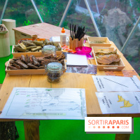 Journée Internationale des Forêts 2019