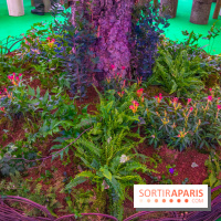 Journée Internationale des Forêts 2019