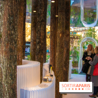 Journée Internationale des Forêts 2019