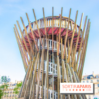 Journée Internationale des Forêts 2019