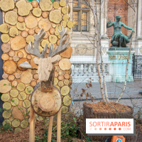 Journée Internationale des Forêts 2019