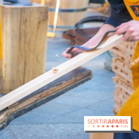 Journée Internationale des Forêts 2019