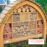 Journée Internationale des Forêts 2019