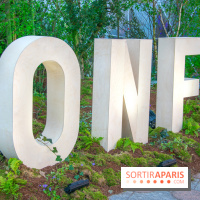 Journée Internationale des Forêts 2019