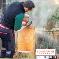 Journée Internationale des Forêts 2019