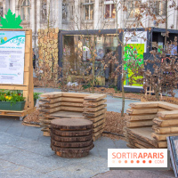 Journée Internationale des Forêts 2019