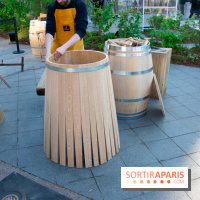 Journée Internationale des Forêts 2019