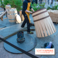 Journée Internationale des Forêts 2019