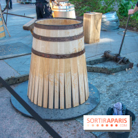 Journée Internationale des Forêts 2019