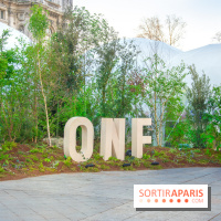 La forêt, une expérience à vivre sur le Parvis de l'Hôtel de Ville