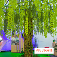 La forêt, une expérience à vivre sur le Parvis de l'Hôtel de Ville