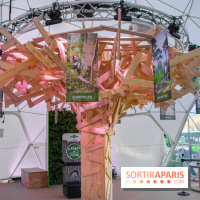 La forêt, une expérience à vivre sur le Parvis de l'Hôtel de Ville