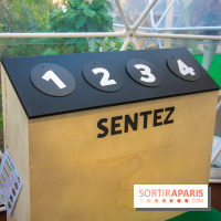 La forêt, une expérience à vivre sur le Parvis de l'Hôtel de Ville