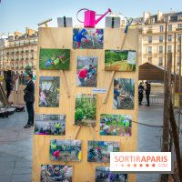 La forêt, une expérience à vivre sur le Parvis de l'Hôtel de Ville