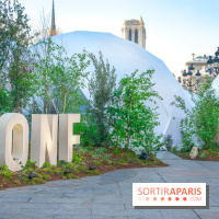 La forêt, une expérience à vivre sur le Parvis de l'Hôtel de Ville