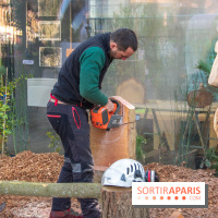 La forêt, une expérience à vivre sur le Parvis de l'Hôtel de Ville