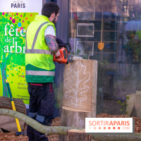 La forêt, une expérience à vivre sur le Parvis de l'Hôtel de Ville