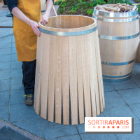 La forêt, une expérience à vivre sur le Parvis de l'Hôtel de Ville