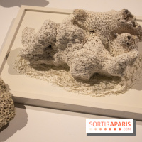 Exposition Métiers d'art, signatures des territoires à la Galerie des Gobelins