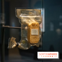 Exposition Lune au Grand Palais, nos photos 