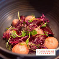 L'escient : nos photos