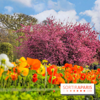 Le Jardin des Plantes