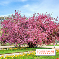 Le Jardin des Plantes