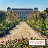 Le Jardin des Plantes