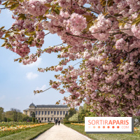 Le Jardin des Plantes