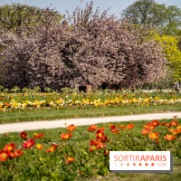 Le Jardin des Plantes