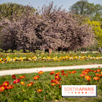 Le Jardin des Plantes