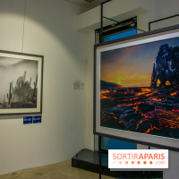 Exposition Unknown Places à la galerie Joseph - Froissart, nos photos