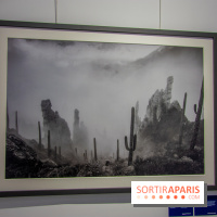 Exposition Unknown Places à la galerie Joseph - Froissart, nos photos