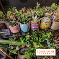 Boya Paris, fleuriste et artisanat