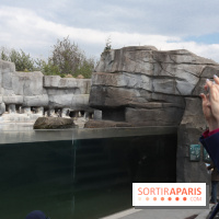 Parc Zoologique de Paris 2019