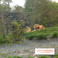 Parc Zoologique de Paris 2019