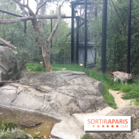 Parc Zoologique de Paris 2019