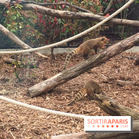 Parc Zoologique de Paris 2019