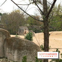 Parc Zoologique de Paris 2019