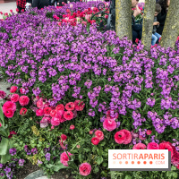 Earth Month à Disneyland Paris